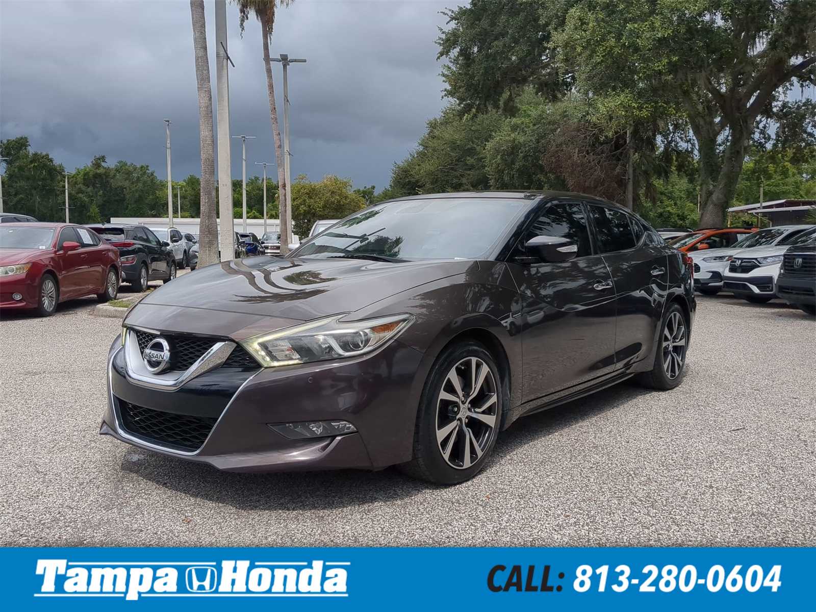 2016 Nissan Maxima Platinum -
                  Tampa, FL