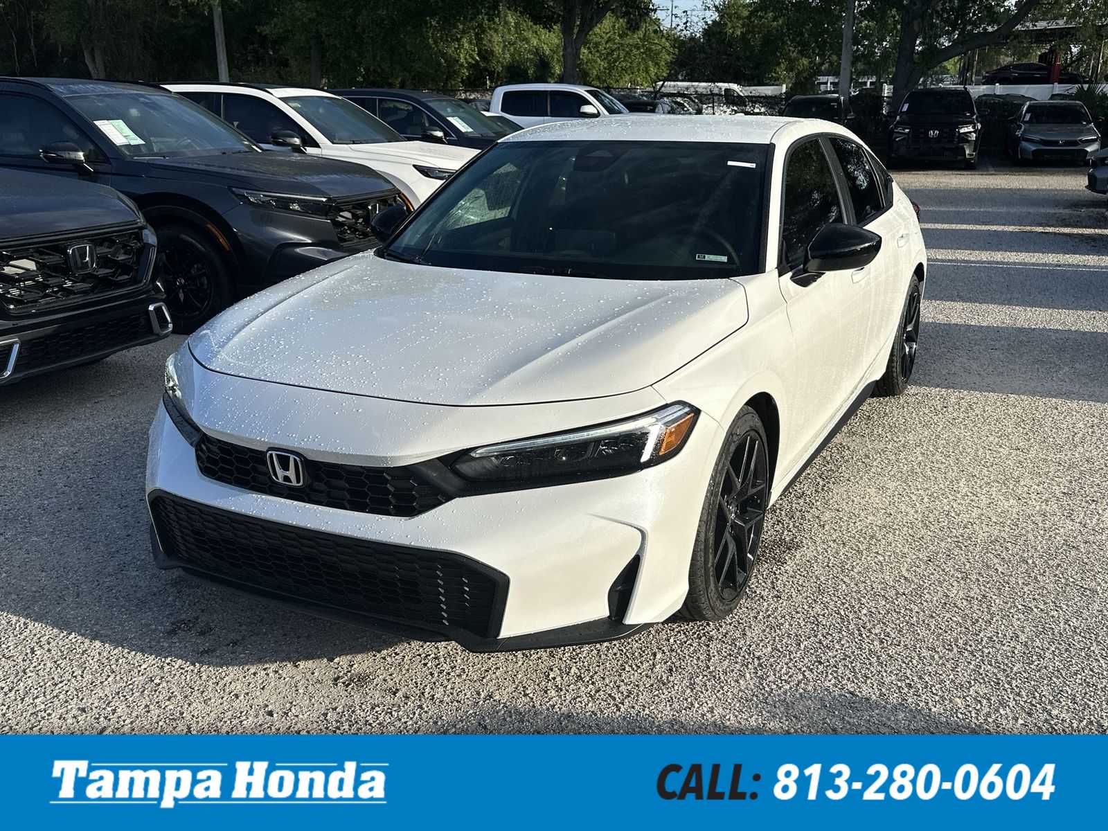 2026 Honda Civic Sport CVT's photo