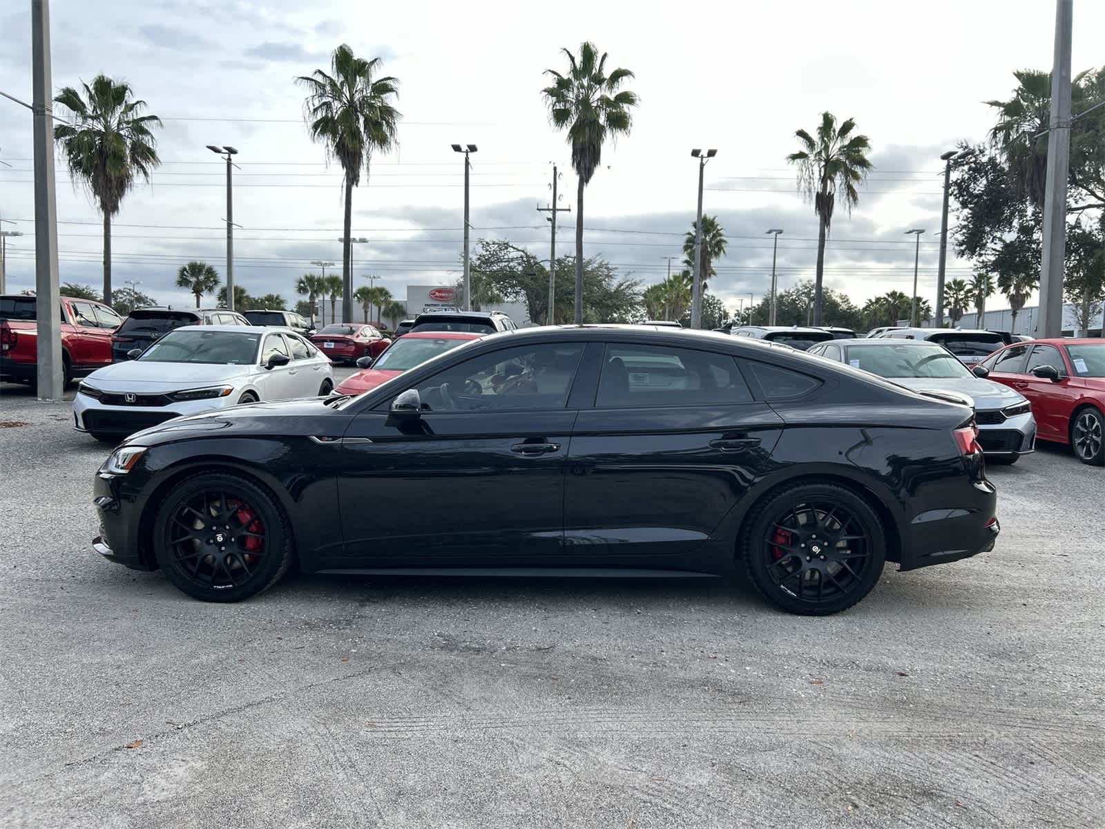 Thumbnail: 2019 Audi S5 - 3