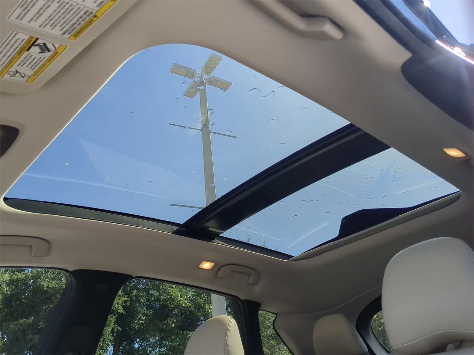 2019 INFINITI QX50 Essential 19