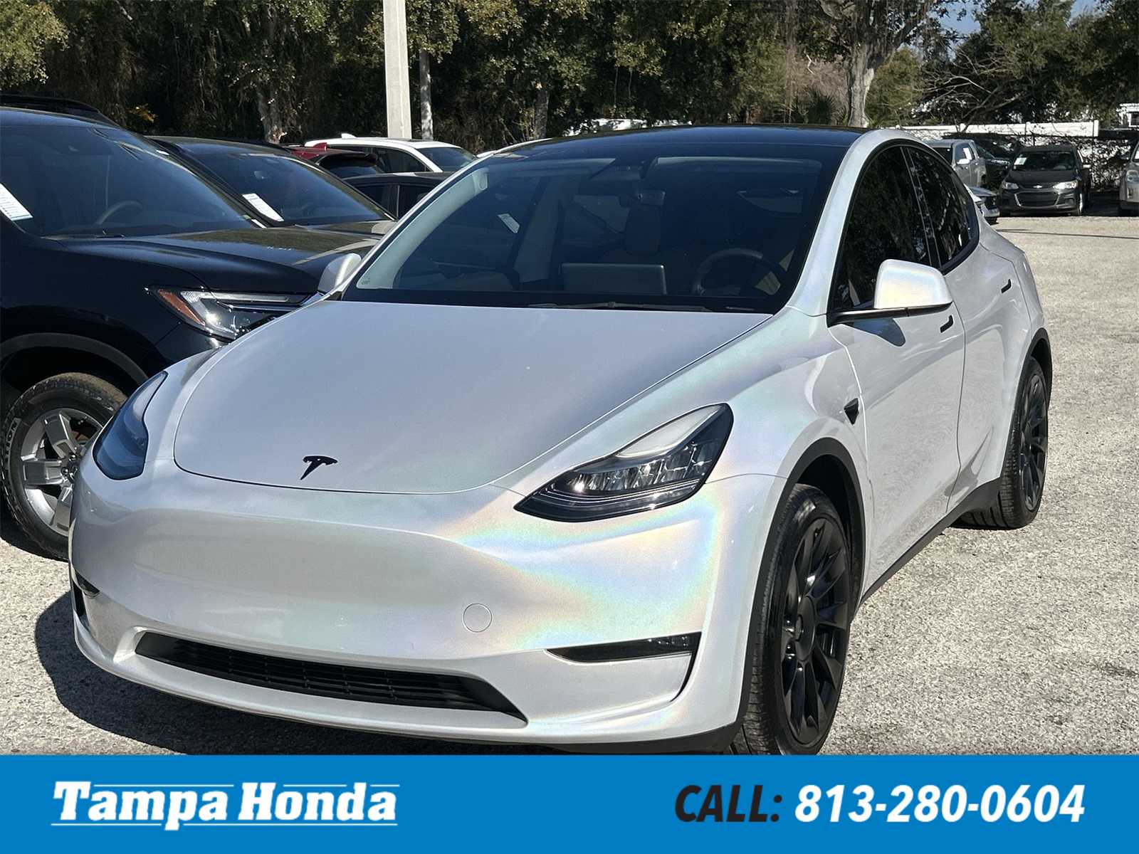 2021 Tesla Model Y Standard Range -
                  Tampa, FL
