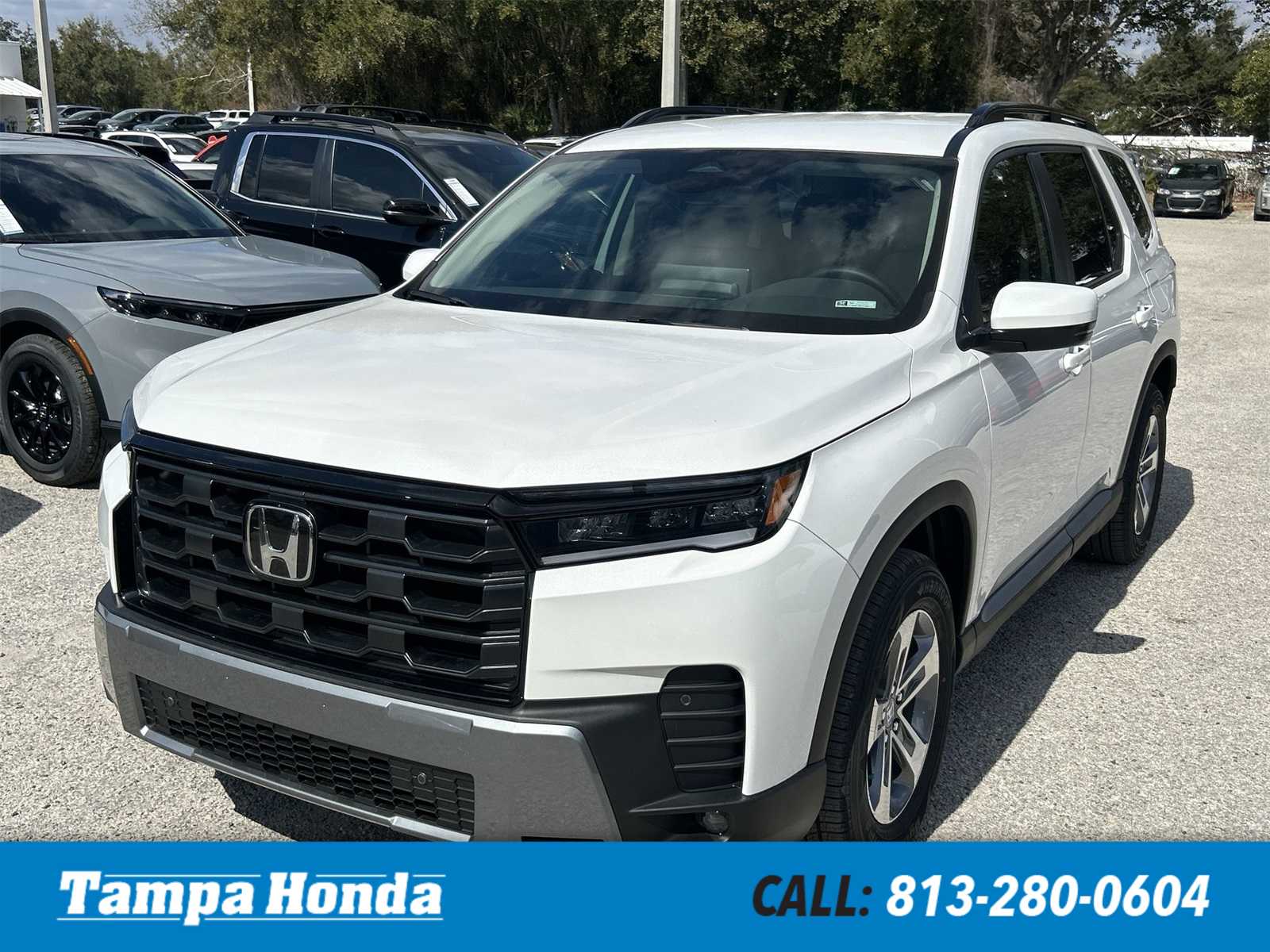 Thumbnail: 2026 Honda Pilot - 1