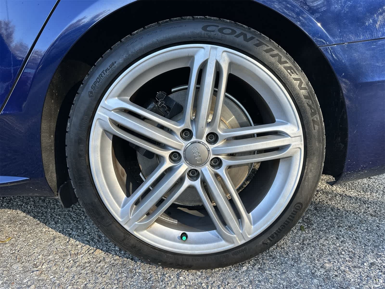 Thumbnail: 2014 Audi S4 - 5