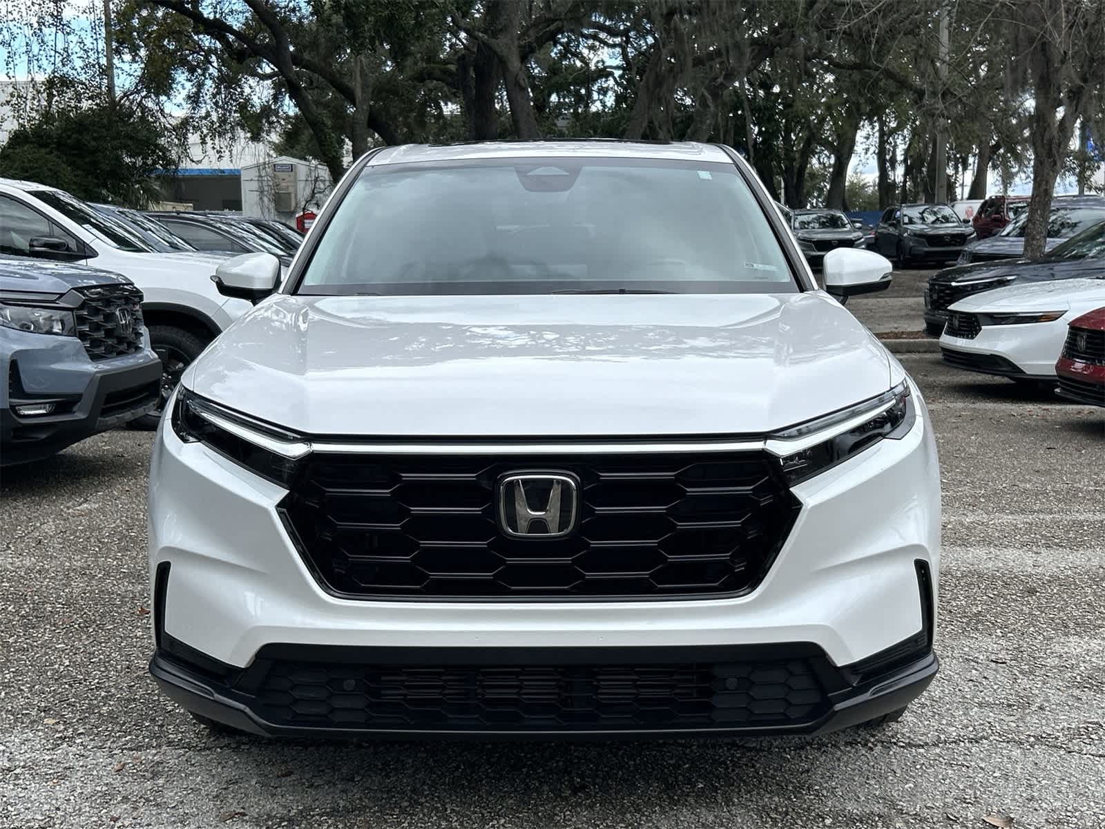 Thumbnail: 2025 Honda CR-V - 6