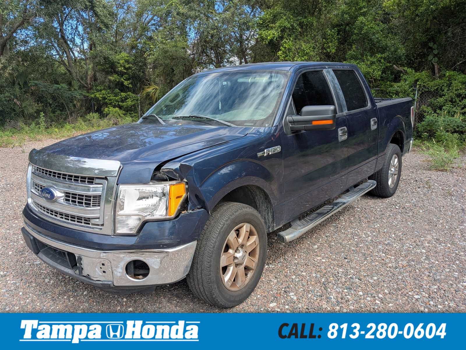 2014 Ford F-150  -
                  Tampa, FL
