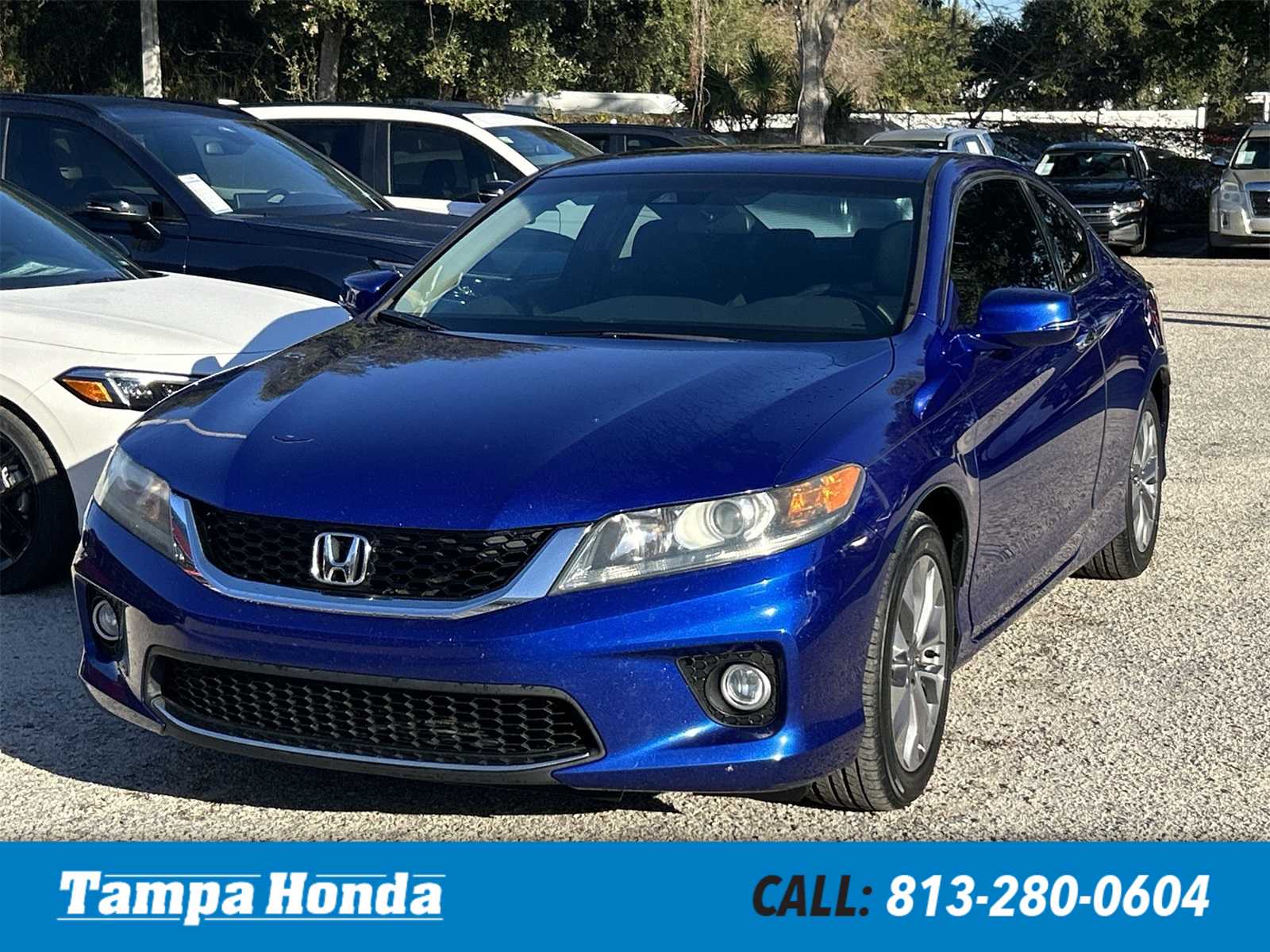 2013 Honda Accord EX-L -
                  Tampa, FL