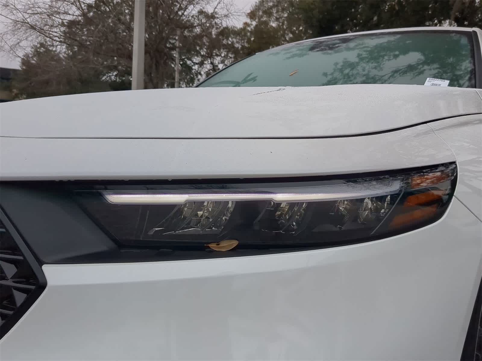 Thumbnail: 2025 Honda Accord - 10