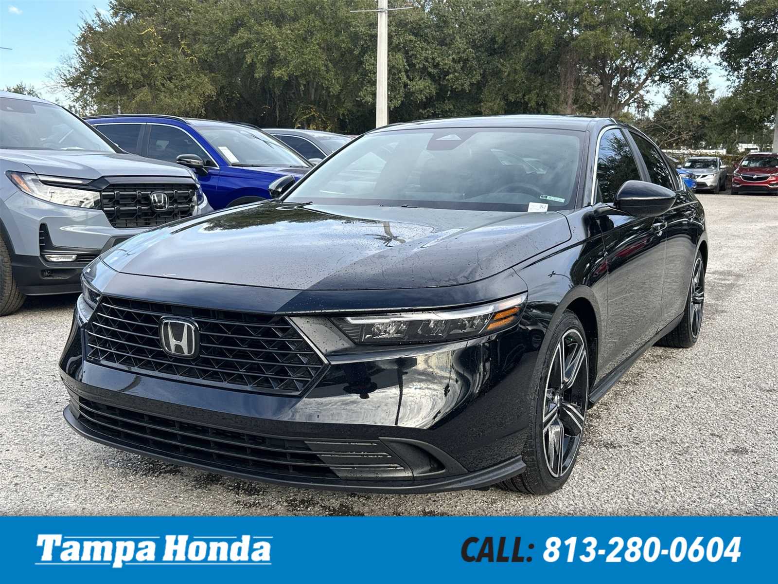 2024 Honda Accord Sport -
                  Tampa, FL