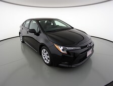 2024 Toyota Corolla  -
                  Tampa, FL
