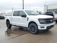 New 2025 Ford F-150 XLT Crew Cab for sale Kalamazoo
