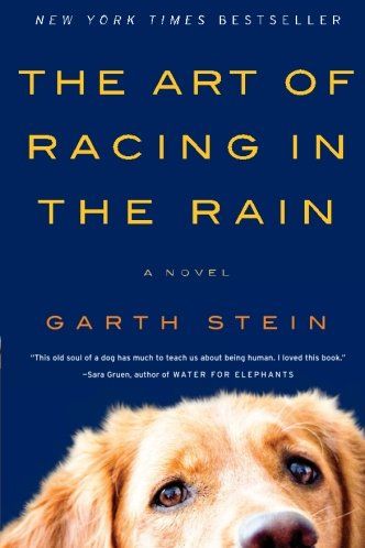the art of racing in the rain.jpg