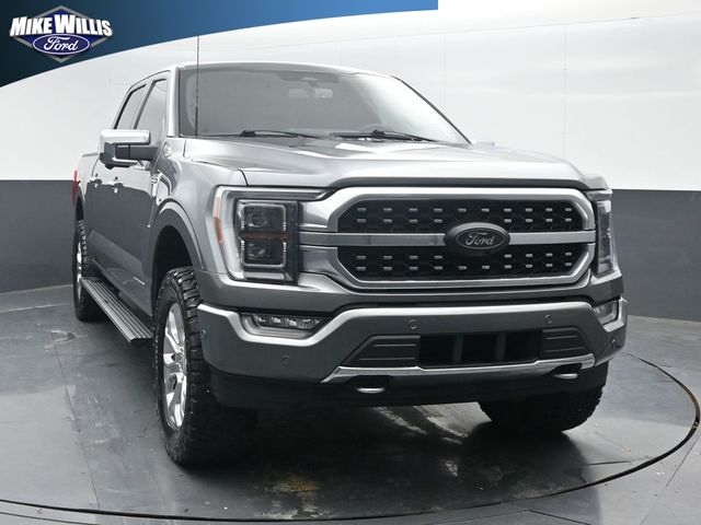 used 2023 Ford F-150 car