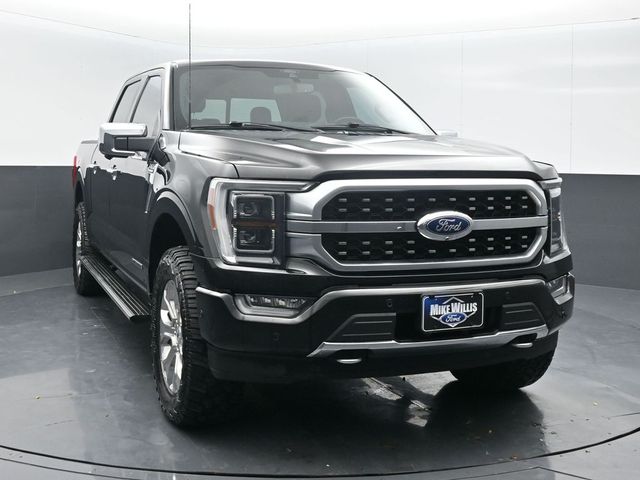 2021 Ford F-150 Platinum's photo