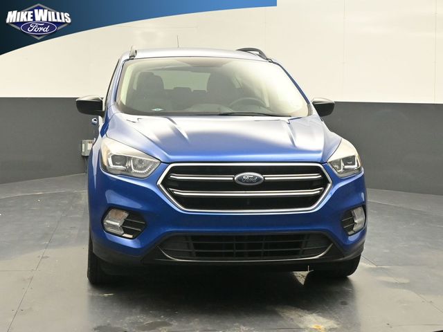 used 2019 Ford Escape car
