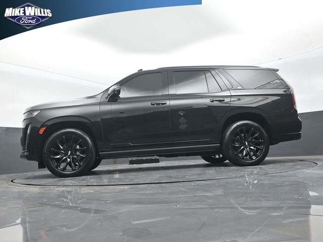 used 2024 Cadillac Escalade car, priced at $82,895