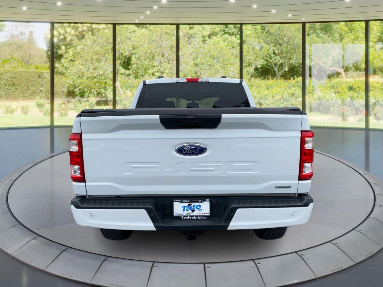 2023 Ford F-150 XL photo 3