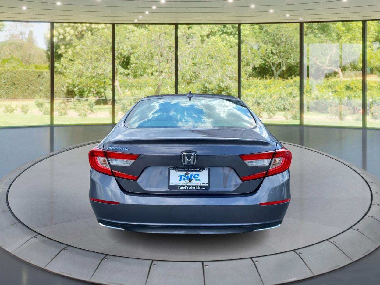 2019 Honda Accord EX-L 1.5T photo 4