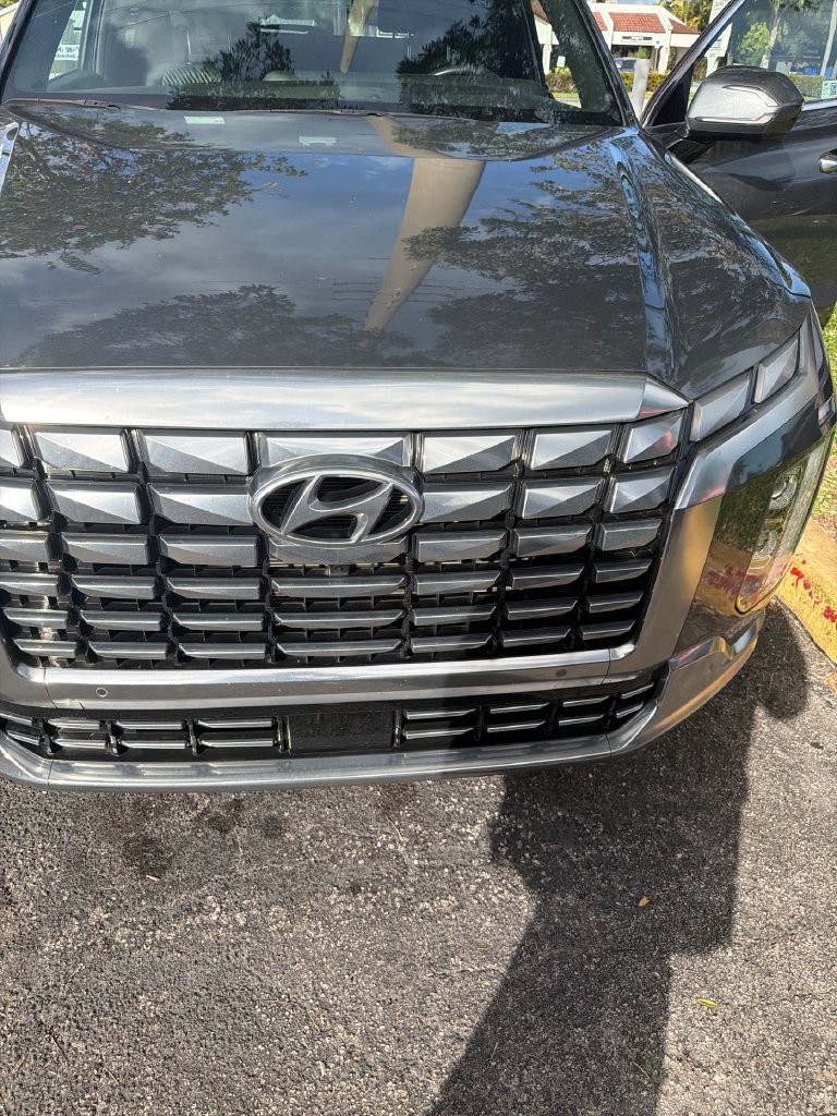  Hyundai Palisade