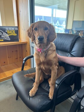 Staff member Lainey Booi from e5b9094e369f