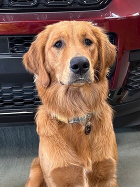 Staff member Oakley Booi from e5b9094e369f