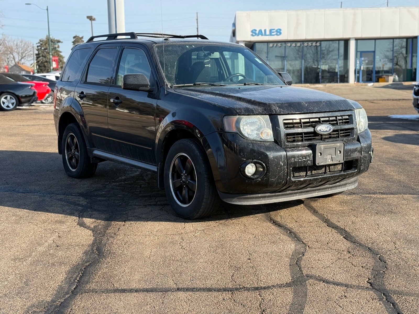 2010 Ford Escape XLT