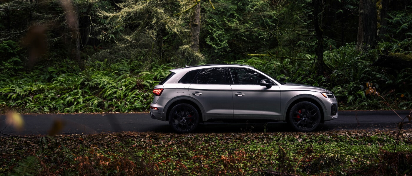 2025 Audi SQ5 Exterior Side View In Forest