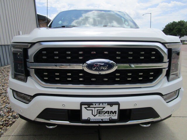 2022 Ford F-150 Platinum photo 2