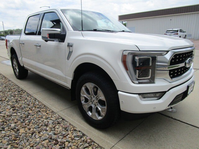 2022 Ford F-150 Platinum photo 3