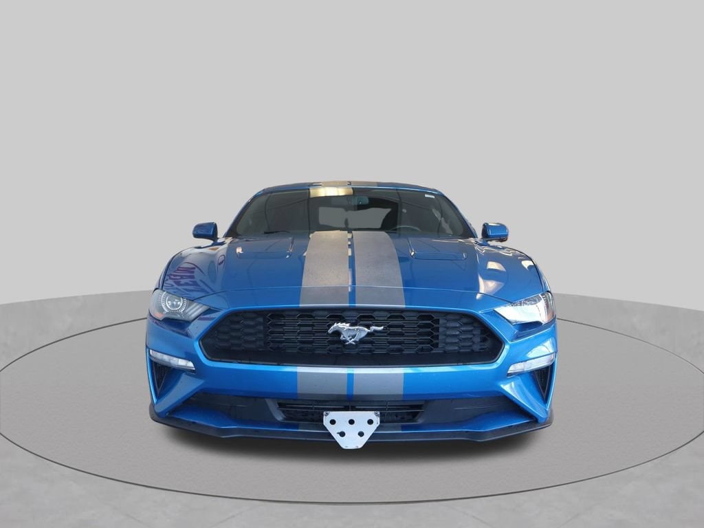 Used 2019 Ford Mustang Ecoboost Car