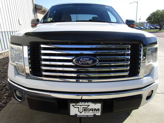 Used 2010 Ford F-150 XLT with VIN 1FTFX1CV5AFA73754 for sale in Denison, IA