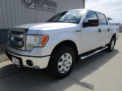 2014 Ford F-150 XLT Crew Cab