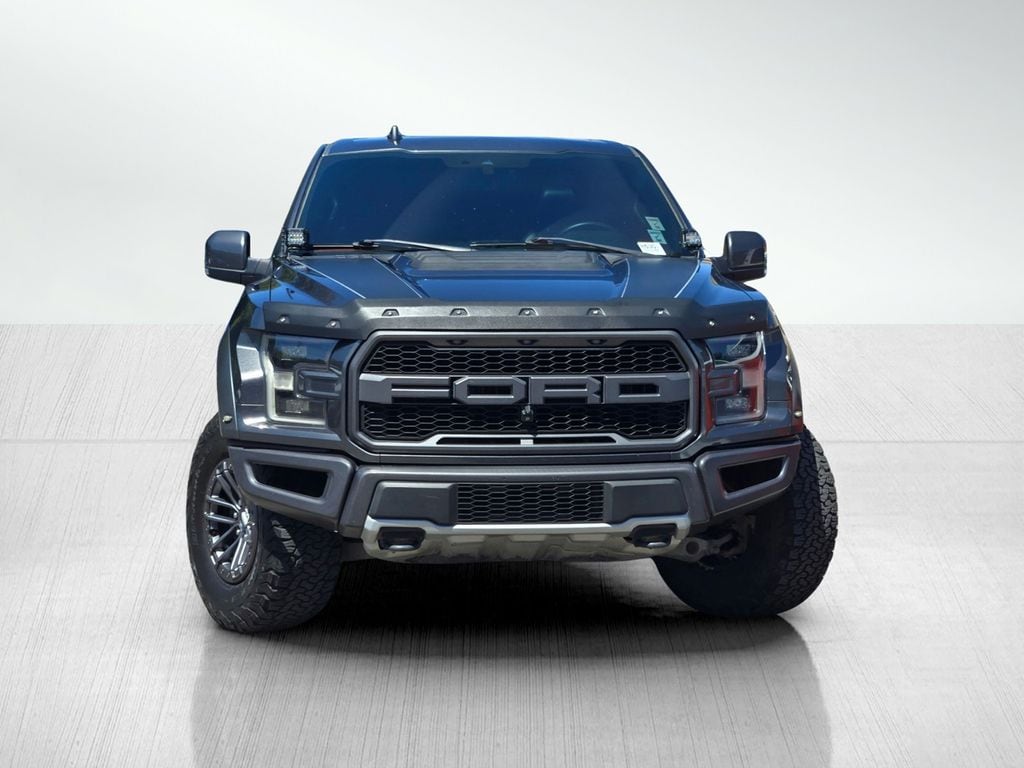 2019 Ford F-150 Raptor photo 2