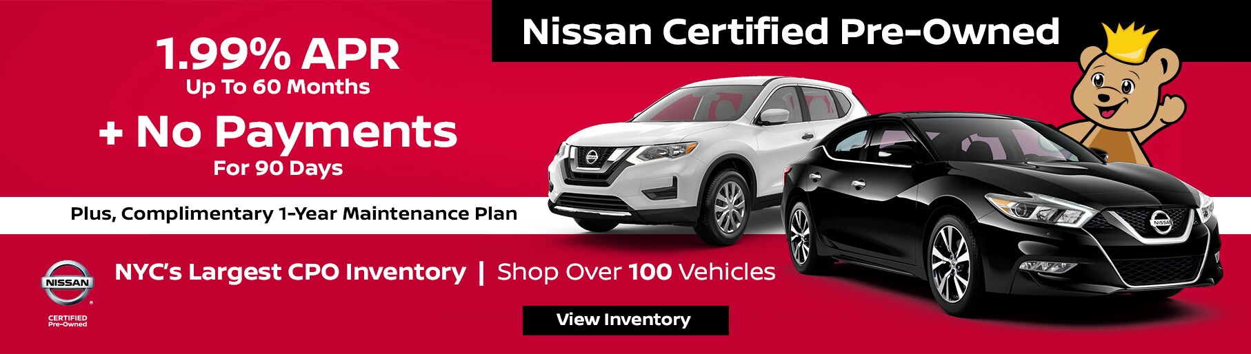 teddy nissan