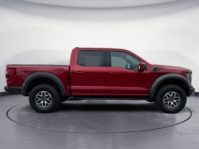 Used 2023 Ford F-150 Raptor with VIN 1FTFW1RG8PFB20599 for sale in Knoxville, TN