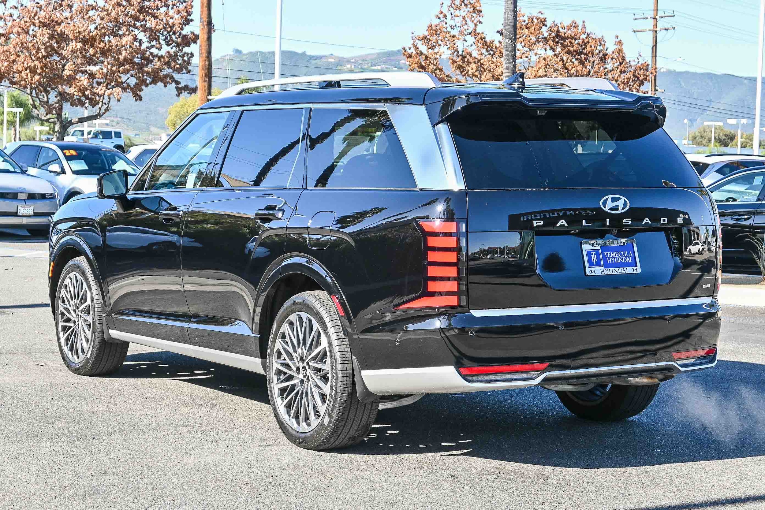 2026 Hyundai Palisade Calligraphy - Photo 7