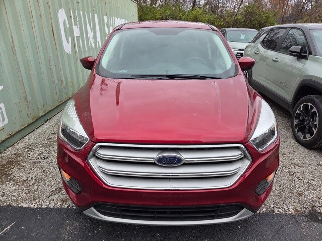 2019 Ford Escape SE photo 2