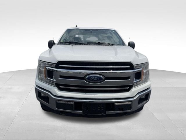 Used 2019 Ford F-150 XLT with VIN 1FTEW1EP9KKE53797 for sale in Archbold, OH