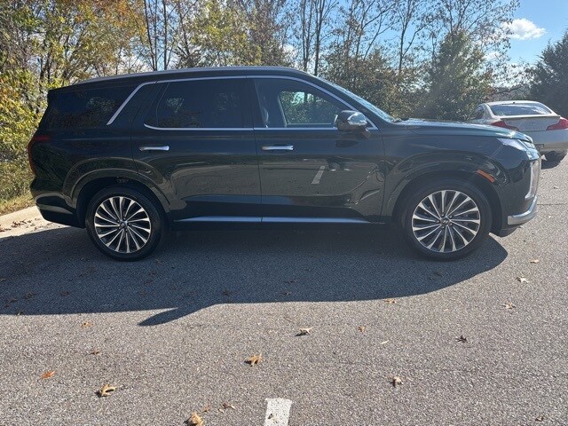 2025 Hyundai Palisade Calligraphy photo 2
