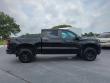 2019 Chevrolet Silverado 1500 LT Trail Boss Pickup