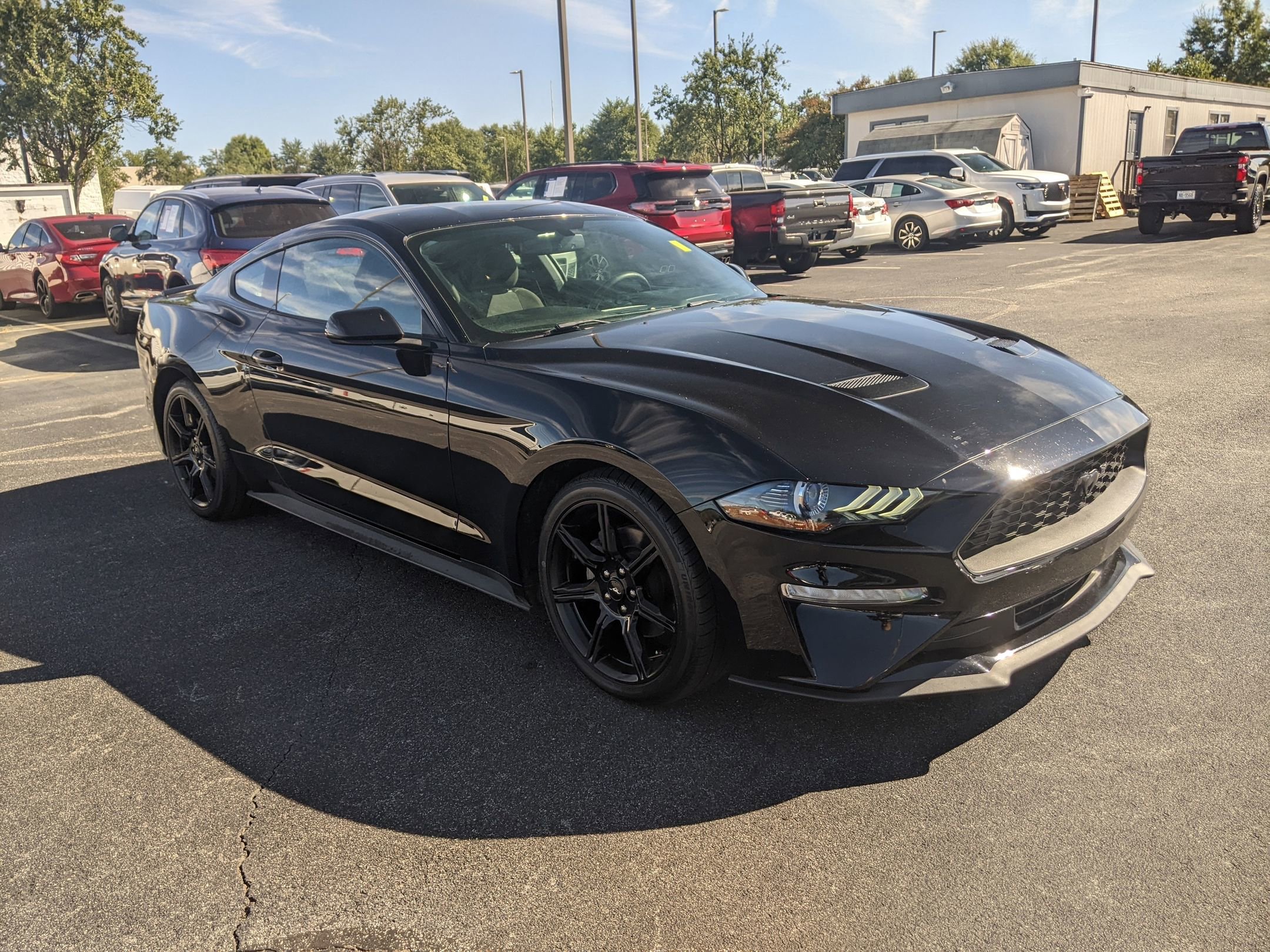2019 Ford Mustang EcoBoost photo 2