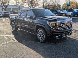 2025 GMC Sierra 1500 Denali Pickup