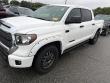 2019 Toyota Tundra 4WD SR5 Pickup