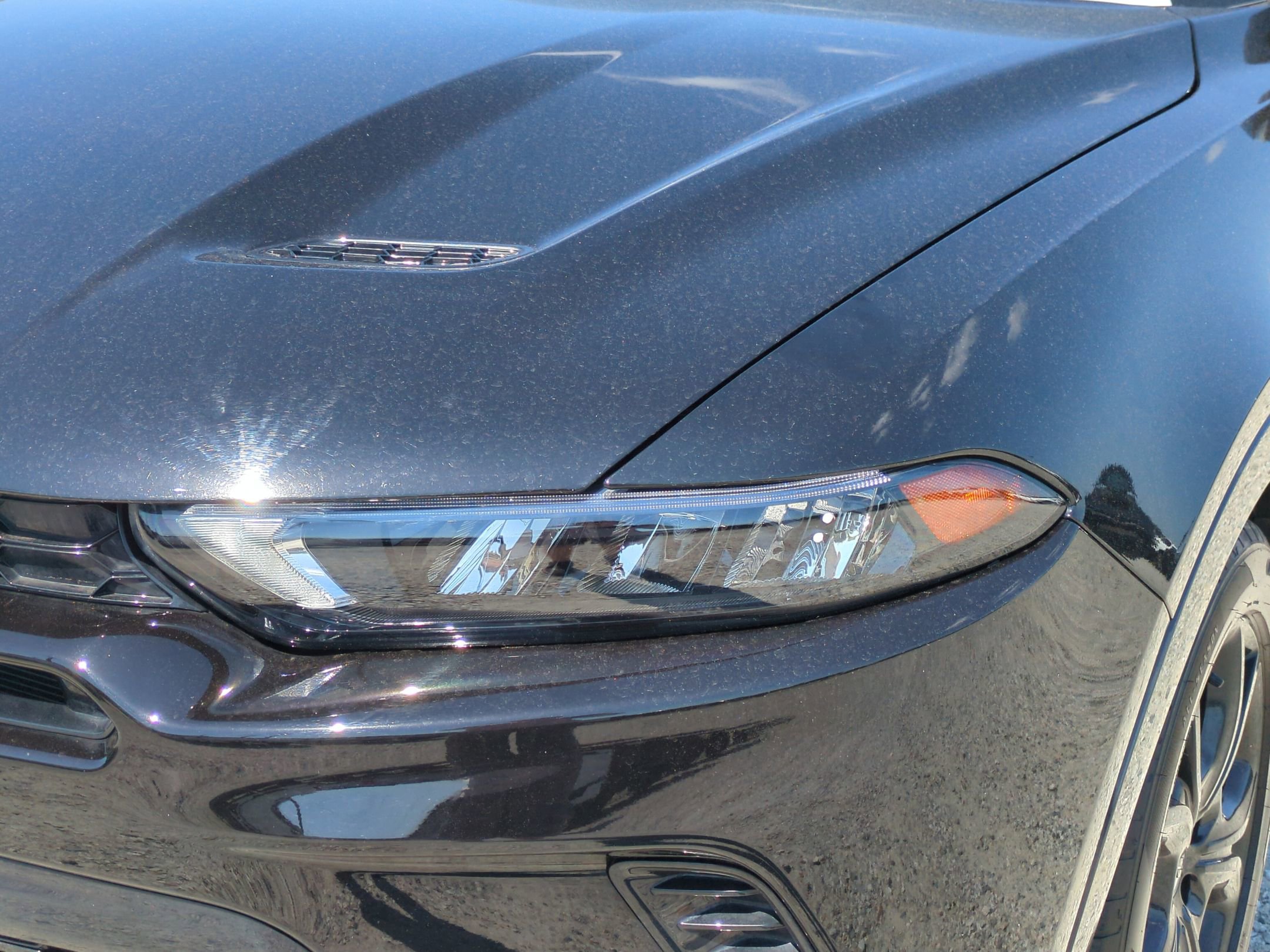 Dodge Hornet R/T Plus