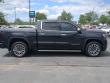 2025 GMC Sierra 1500 Denali Ultimate Pickup