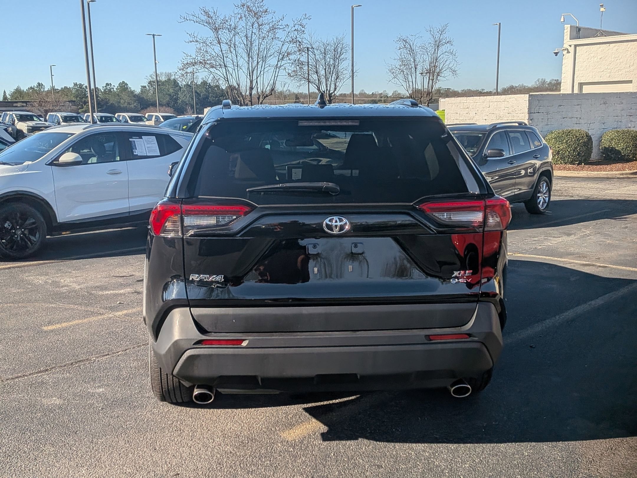 2025 Toyota RAV4 Hybrid XLE photo 6