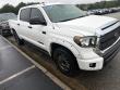 2019 Toyota Tundra 4WD SR5 Pickup