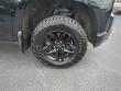 2019 Chevrolet Silverado 1500 LT Trail Boss Pickup