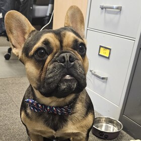 Staff member Finch Sligh from 62dbebc5e6df