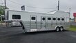  Cimarron 5 Horse