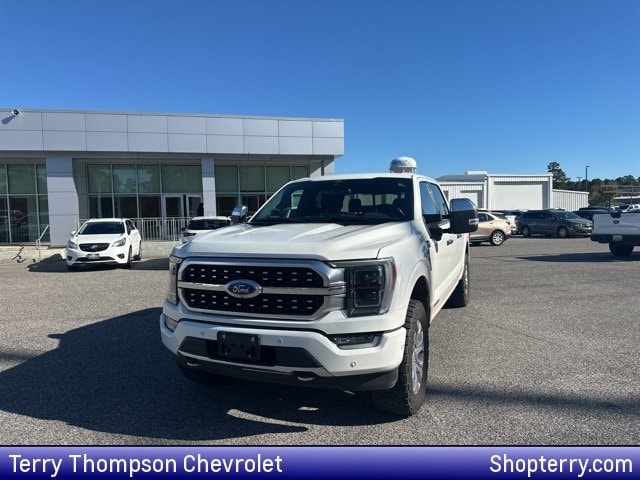 2022 Ford F-150 Platinum's photo